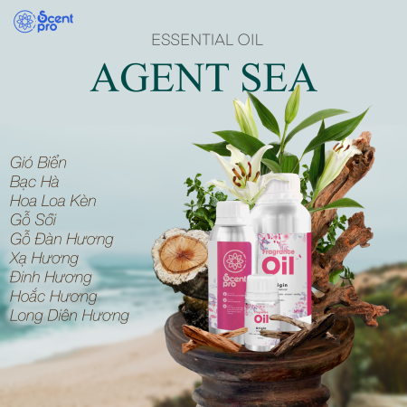Tinh Dầu Thơm Agent Sea