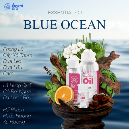 Tinh Dầu Thơm Blue Ocean