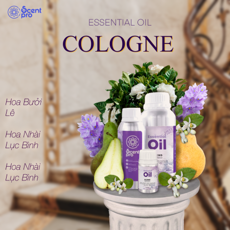 Tinh Dầu Thơm Cologne