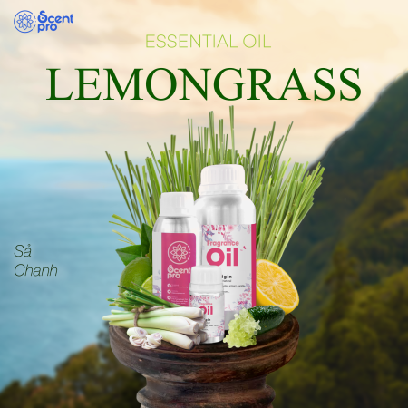 Tinh Dầu Thơm LemonGrass