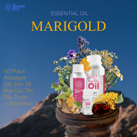 Tinh Dầu Thơm Marigold