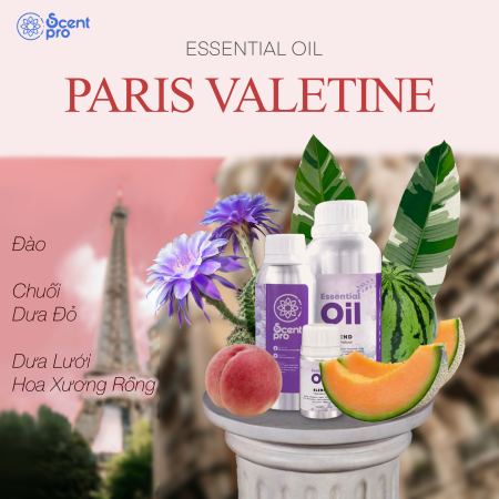 Tinh Dầu Thơm Paris Valentine